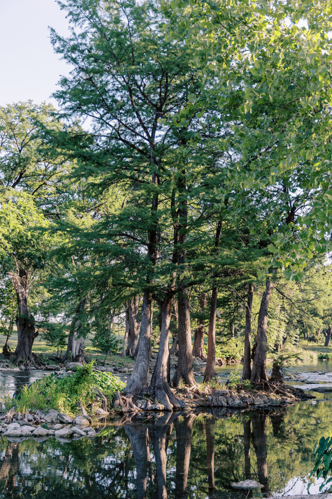 Cation on the Guadalupe